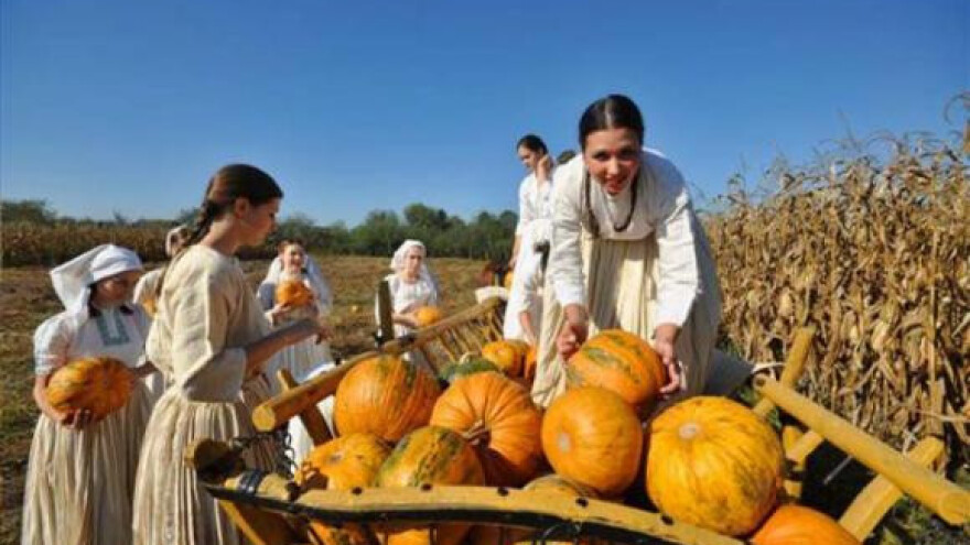 Preko 200 uzgajivača bundeve na 12. Bučijadi