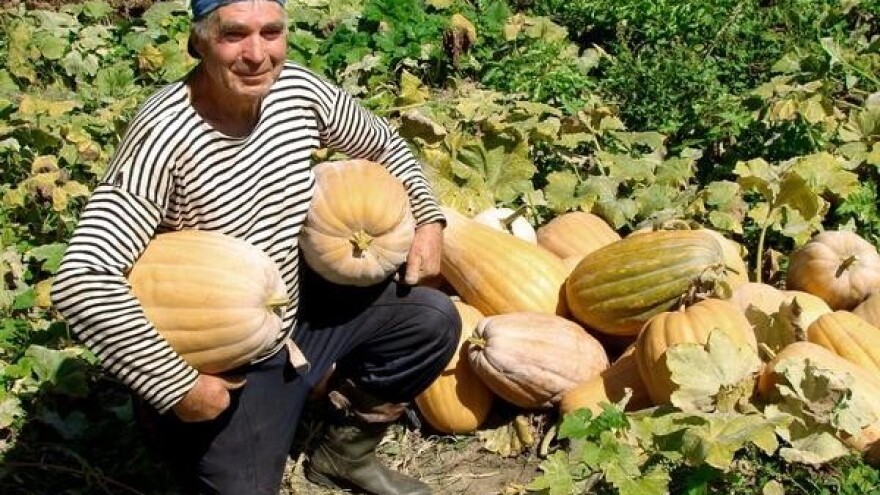 Budućnost u bučinom ulju vidi i Europa