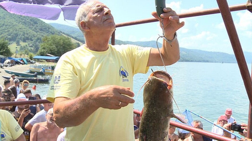 Gotovo 156 kilograma ulova na Zlatnoj bućki Đerdapa