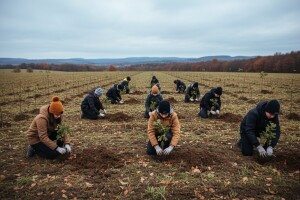 Budućnost gradi - uči i sadi