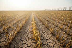 Budućnost poljoprivrede i klimatske promjene