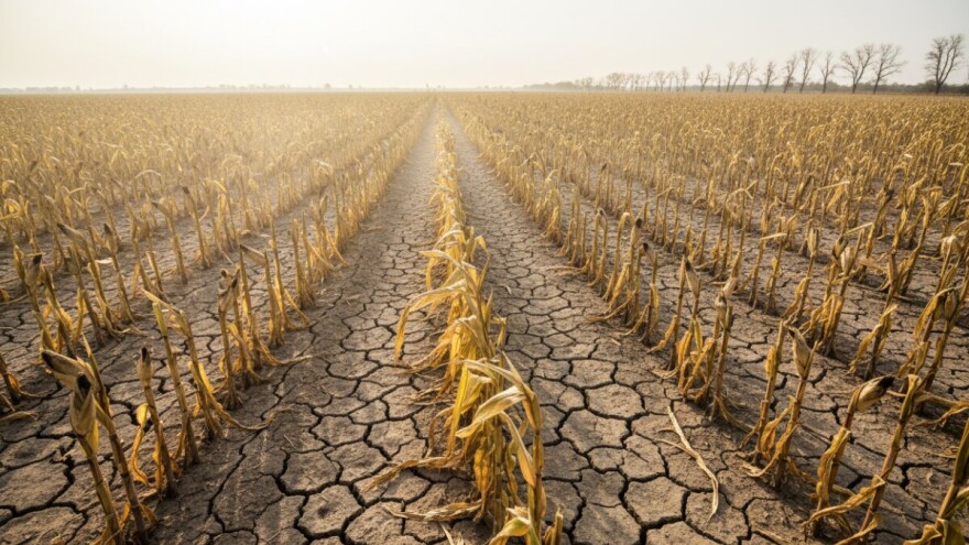 Budućnost poljoprivrede i klimatske promjene