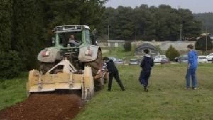 Buhač za tjeranje nametnika s maslina