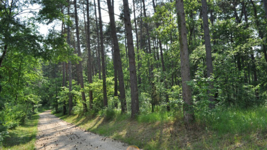 Turizam i šumarstvo mogu i moraju skupa