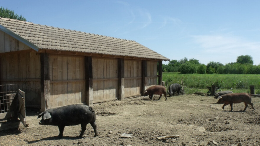 Što je poljoprivrednik, a što poduzetnik?