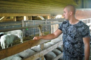 Mladi stočar zadovoljan virtembergom, a razmišlja i o romanovskim ovcama