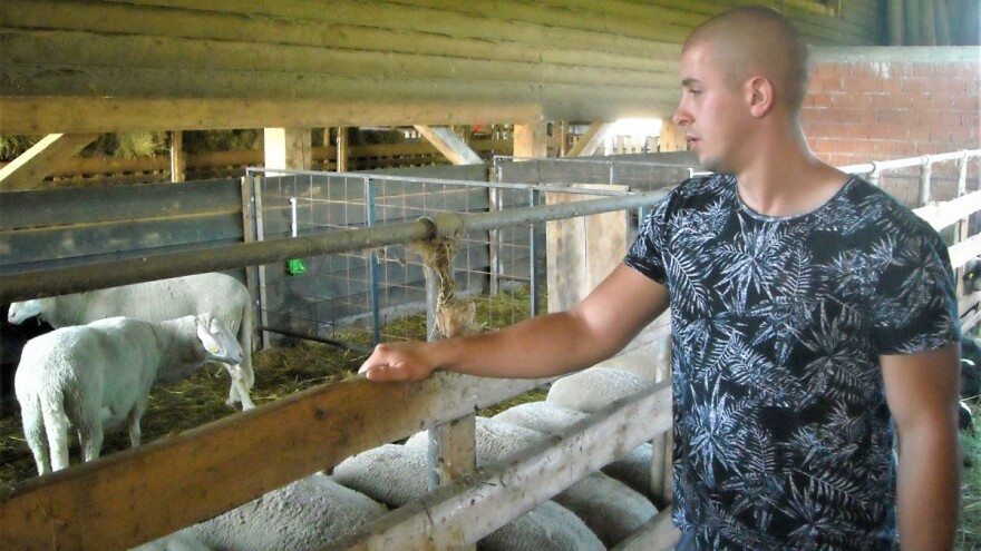 Mladi stočar zadovoljan virtembergom, a razmišlja i o romanovskim ovcama