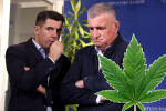 Miro Bulj: Hrvatska treba legalizirati marihuanu, naravno i proizvodnja treba biti domaća