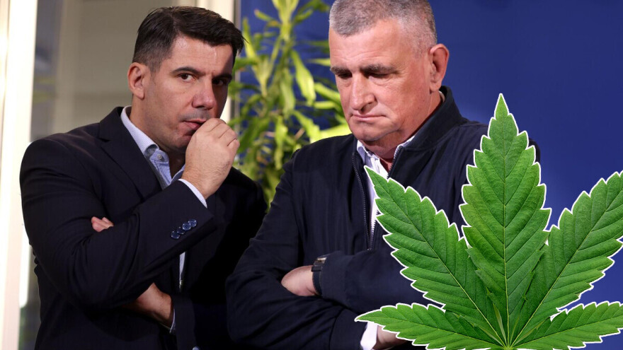 Miro Bulj: Hrvatska treba legalizirati marihuanu, naravno i proizvodnja treba biti domaća