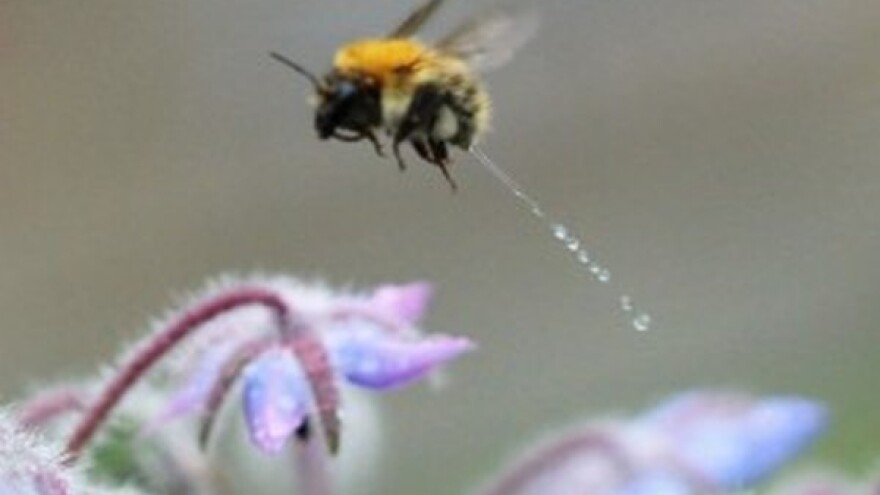 Kad priroda zove - ne bira vrijeme