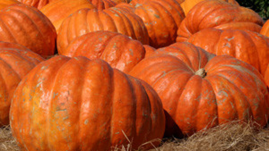 Poljoprivrednicima još 1,9 milijuna kuna za kapitalna ulaganja