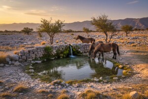 Bunari, Korita i Begovača - izvori koje će spasiti od devastacije