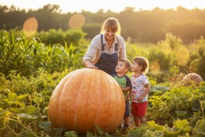 Bundeva od pedesetak kilograma