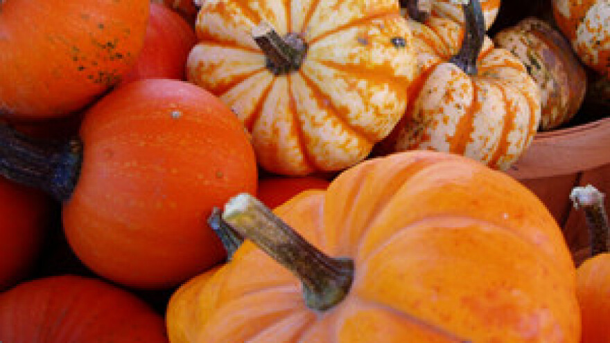 Seminar "Razvoj ruralnih krajeva"