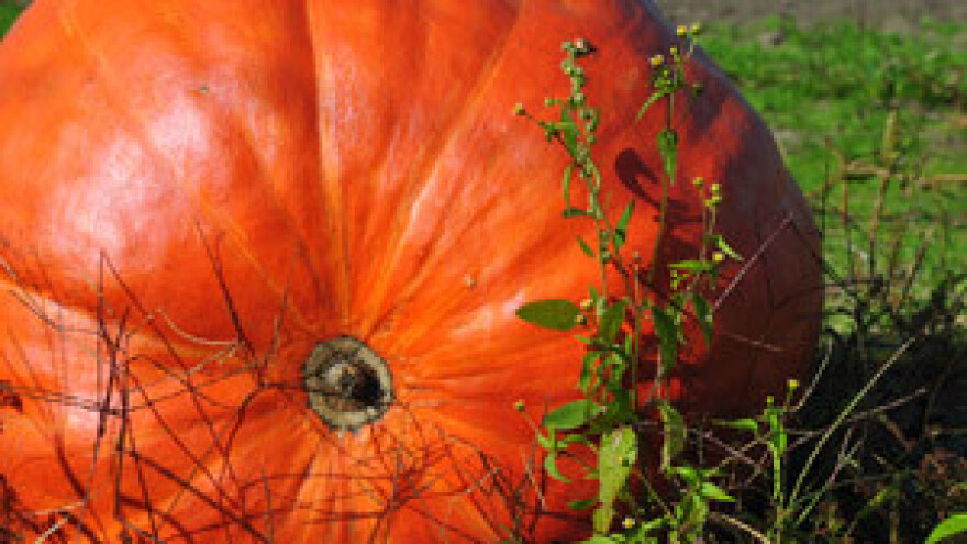 Sindikati - prolazni trend ili spas u borbi za prava poljoprivrednika?
