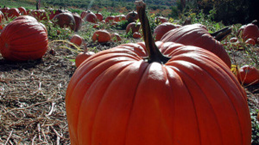 Poziv na radionicu biodinamičke poljoprivrede