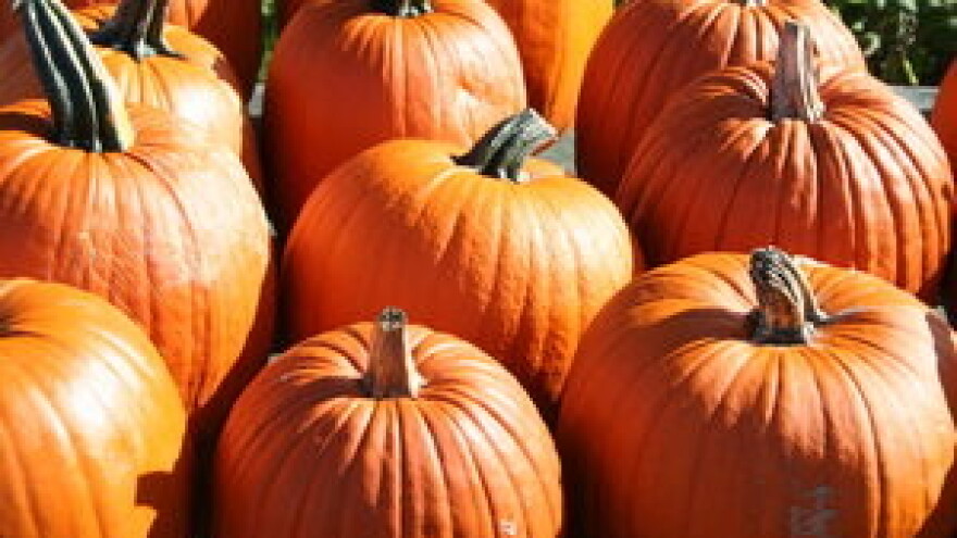 Rekoderka teška 540 kilograma