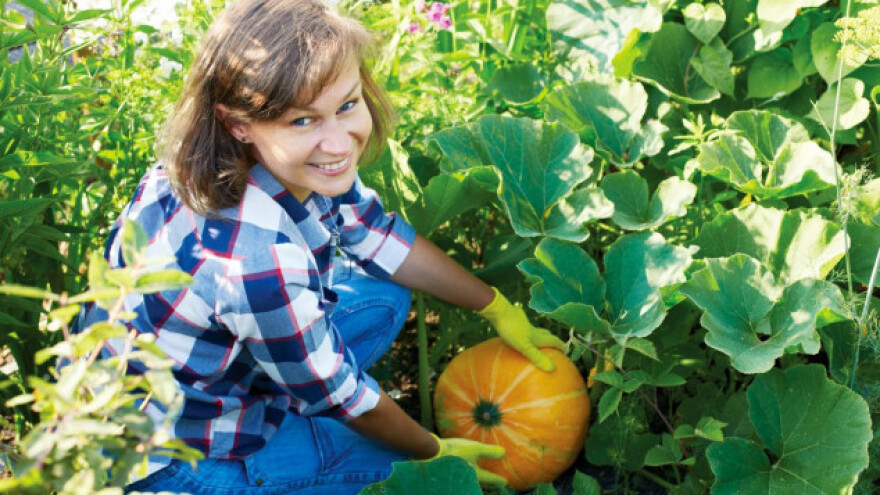 Uzgojem buče osigurali mjesto na tržištu