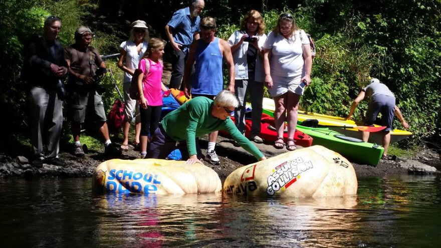 U bundevi će preveslati 12km i srušiti rekord!