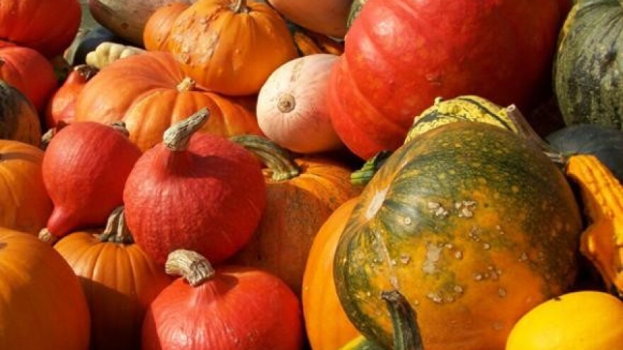 Skupi domaći ekoproizvodi