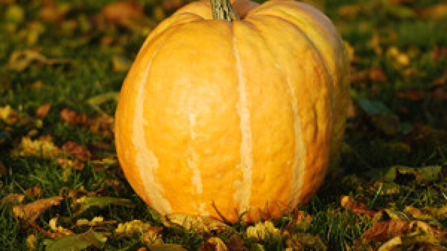 Novi Zakon o ekološkoj proizvodnji