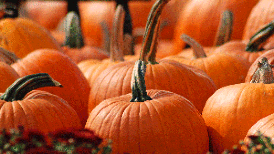 75. Jubilarna izložba poljoprivrede i prehrambene industrije