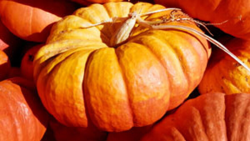 Peticija za smanjenje PDV-a na hranu stigla u Vladu