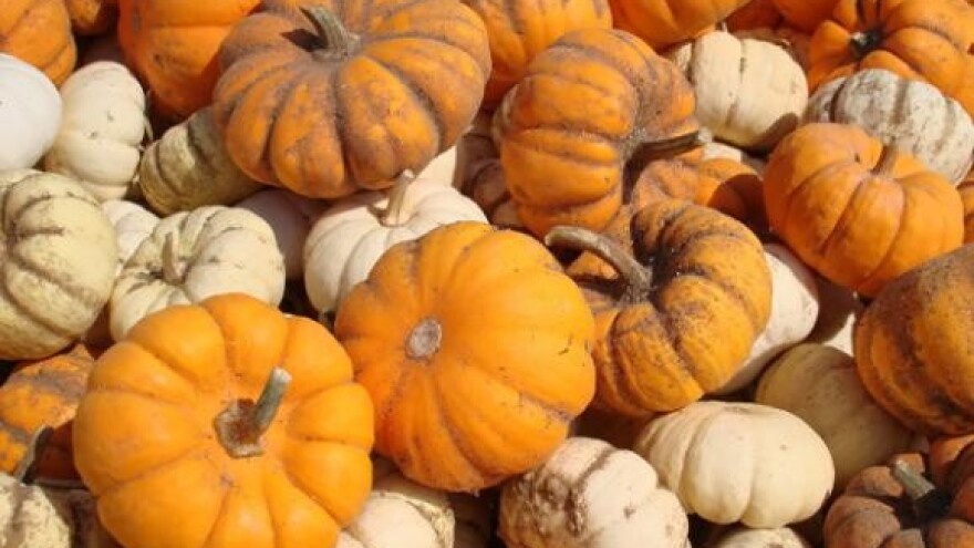 Impresivan nastup Fami grupe