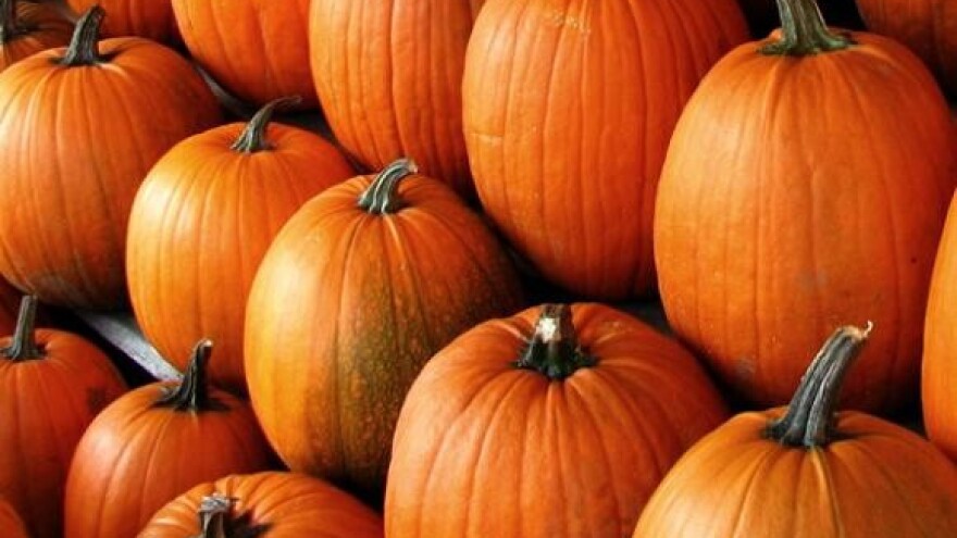 Održana šesta Bundevijada