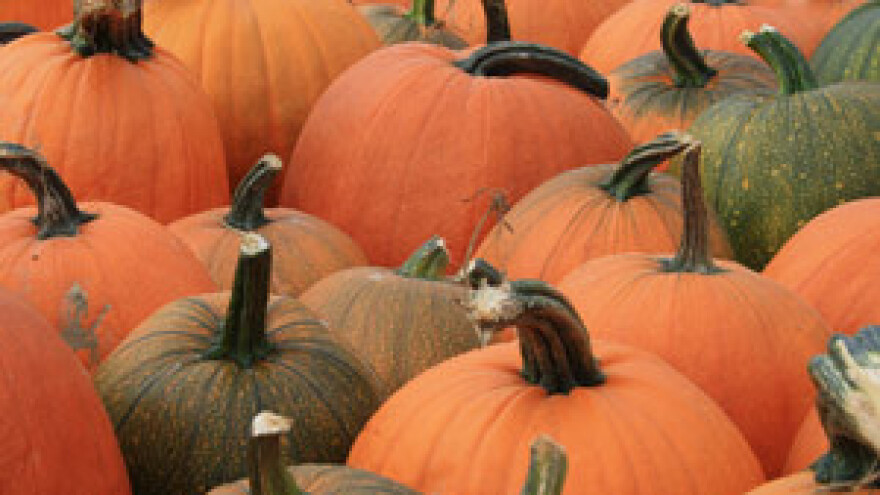 Uspješno završen Eko Etno