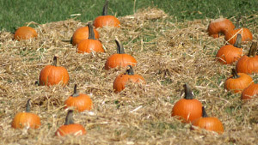 Održan seminar "Za razvoj ruralnih krajeva"