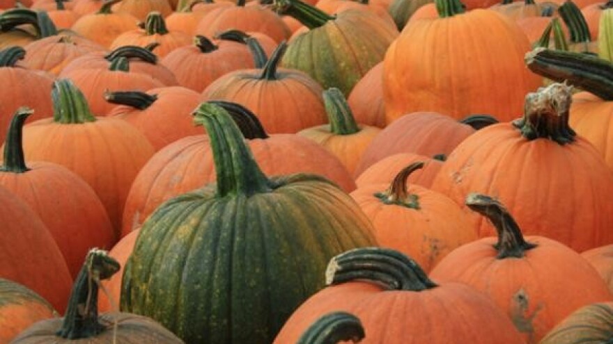 Bundevijada u Vrbovskom