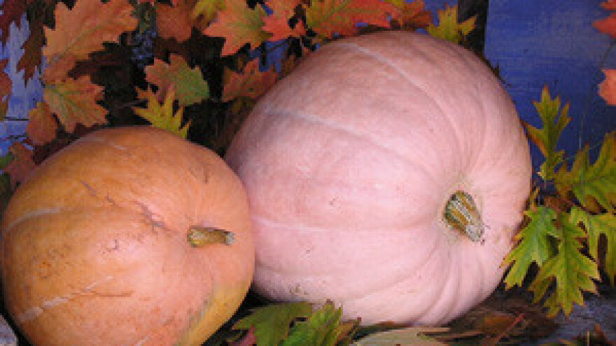 Hrvatskoj poljoprivredi 184,3 milijuna eura pomoći iz EU-a