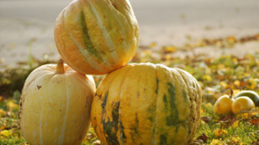 Biodinamička prizvodnja hrane