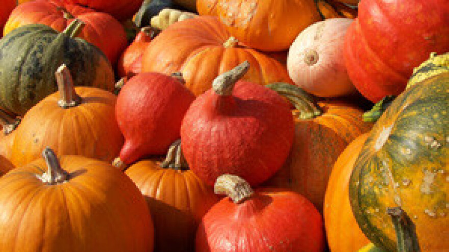 Bučino ulje izvozit će na Bliski istok