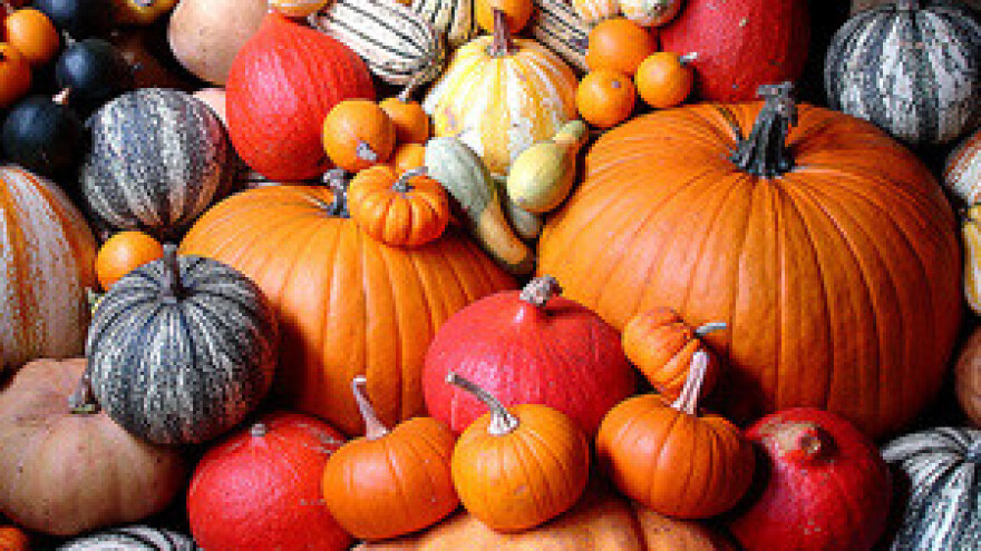 4. Garešnički sajam