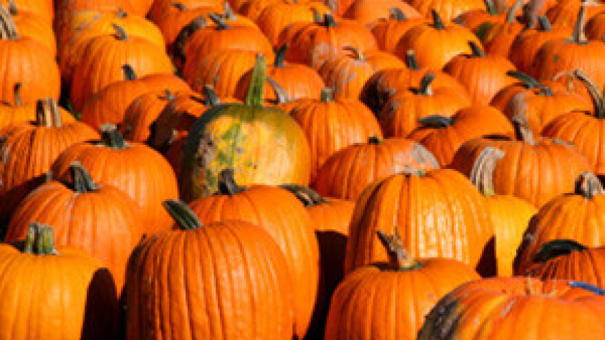 Novi natječaj za IPARD mjere 101 i 103