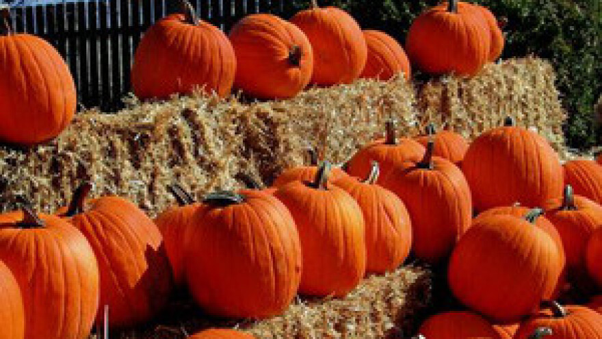 Natječaj za IPARD Mjeru 302 do kraja listopada