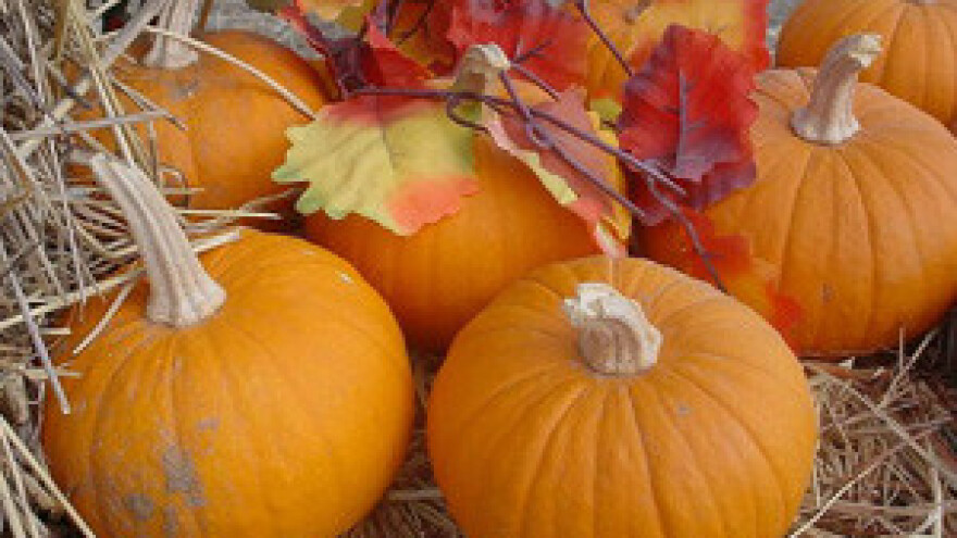 7. Bučijada Ivanić Grad