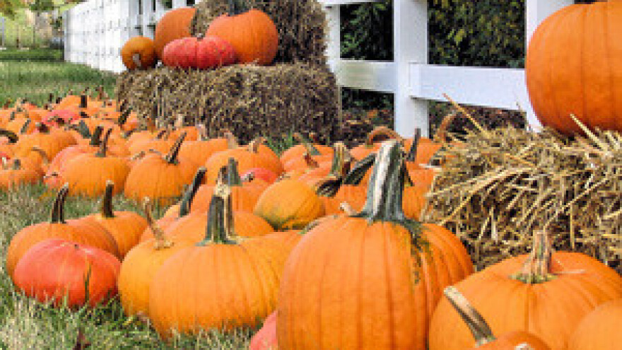 U EU manje subvencije, ali kroz fondove znatno veća sredstva