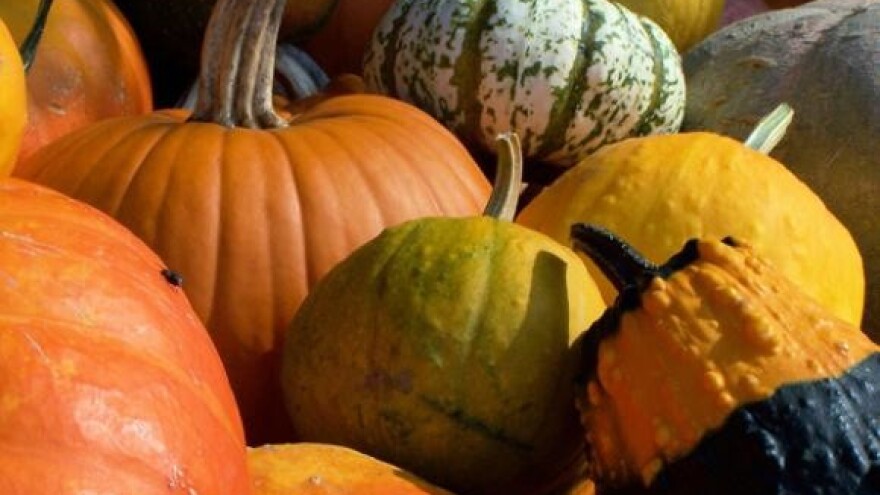 Čobanković: Prehrambena industrija naša je perjanica