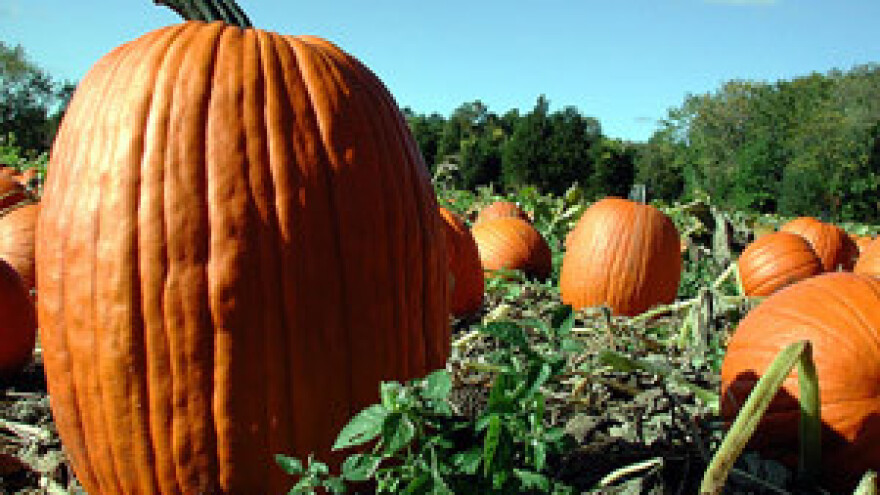 Zaključci Foruma poljoprivredne politike 2011.