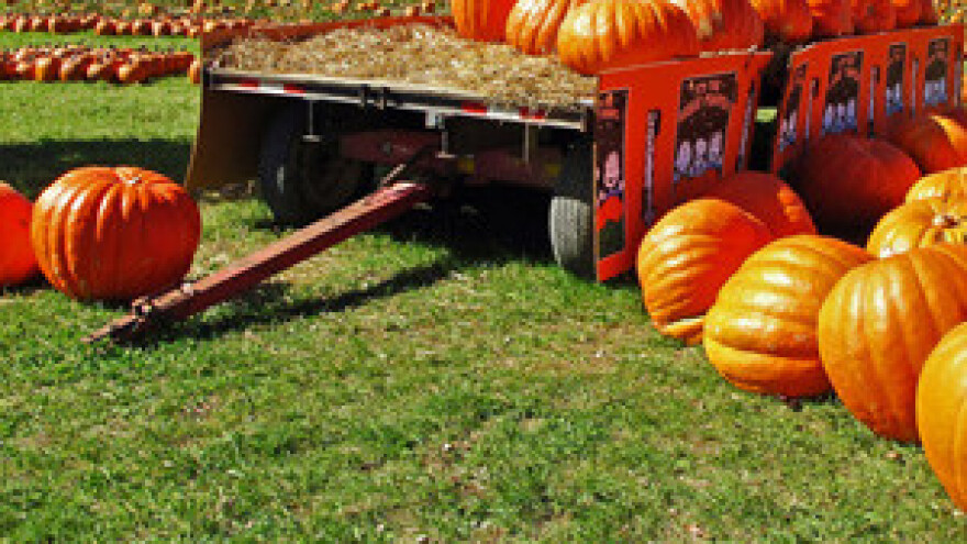 Hrvatski agrar na trećini produktivnosti Unije