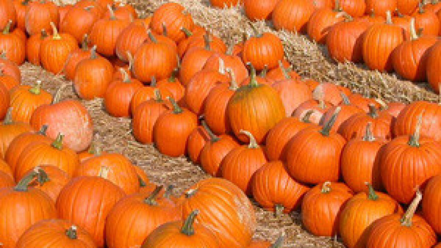 Osječka županija sufinancira istraživačke projekte u poljoprivredi