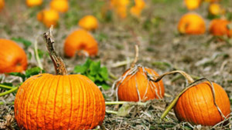 Priznanje biljskom seoskom gospodarstvu