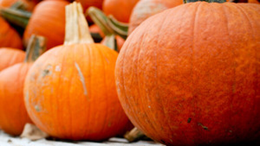 Eko jesen u Rastokama