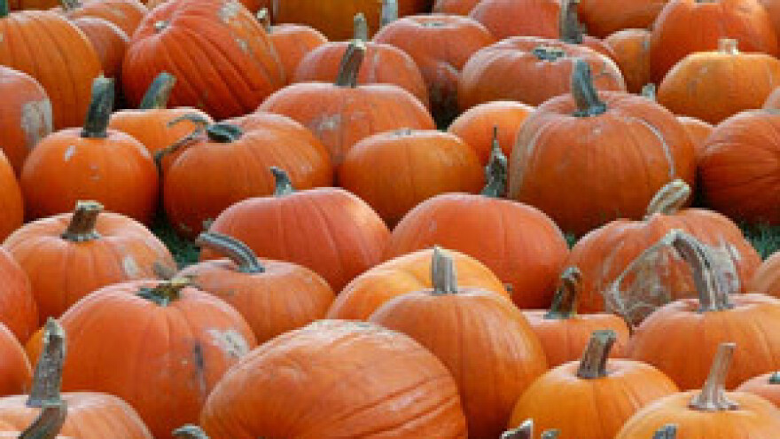 HDSSB: Rješavanje problema u poljoprivredi