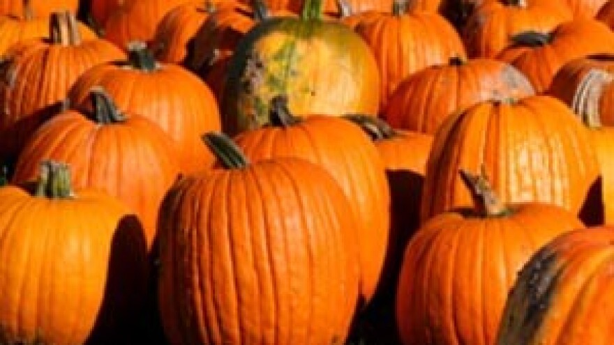 Poljoprivrednici traže od države točnu definiciju OPG-ova