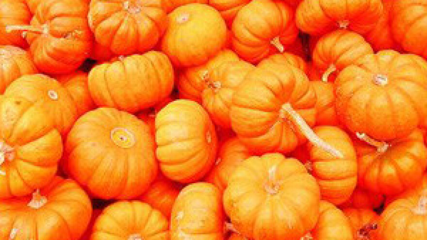 Davor Vlaović: I dalje ćemo se zauzimati za jačanje hrvatskog sela