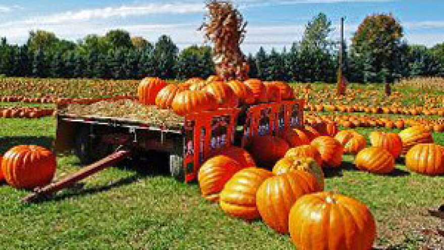 Ekoforum "Eko je dobro i isplativo"